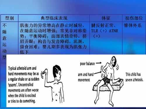 幻灯片6