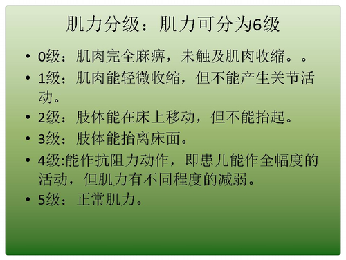 幻灯片3_mh1452847739366