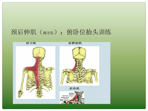 幻灯片7_mh1452848551449