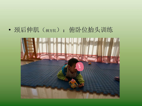 幻灯片8_mh1452848536768