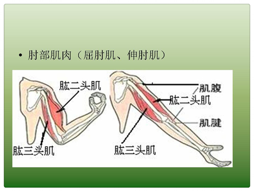 幻灯片15_mh1452848727345
