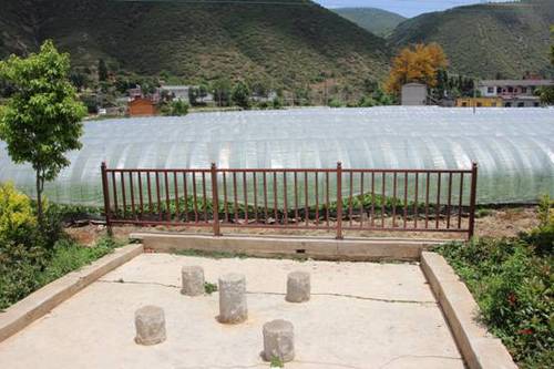image006 image006