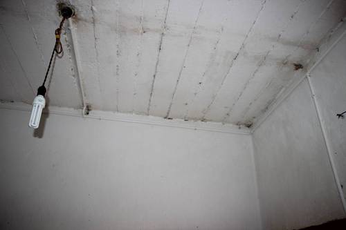 image006