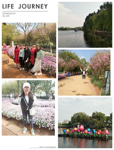 QQ图片20180405124758