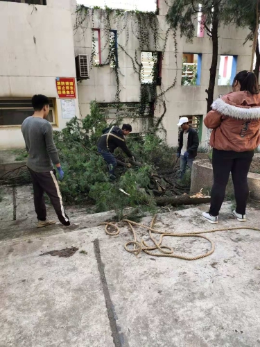 微信图片_20201116102925